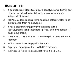 USES OF RFLP
1. It permits direct identification of a genotype or cultivar in any
tissue at any developmental stage in an environmental
independent manner.
2. RFLP are codominant markers, enabling heterozygotes to be
distinguished from homozygotes.
3. It has a discriminating power that can be at the
species/population ( single locus probe) or individual level (
multi locus probe).
4. The method is simple as no sequence specific information is
required.
5. Indirect selection using qualitative traits.
6. Tagging of monogenic traits with RFLP markers.
7. Indirect selection using quantitative trait loci( QTL).
 