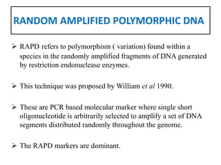 RANDOM AMPLIFIED POLYMORPHIC DNA
 RAPD refers to polymorphism ( variation) found within a
species in the randomly amplified fragments of DNA generated
by restriction endonuclease enzymes.
 This technique was proposed by William et al 1990.
 These are PCR based molecular marker where single short
oligonucleotide is arbitrarily selected to amplify a set of DNA
segments distributed randomly throughout the genome.
 The RAPD markers are dominant.
 