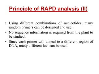 Principle of RAPD analysis (II)
• Using different combinations of nucleotides, many
random primers can be designed and use.
• No sequence information is required from the plant to
be studied.
• Since each primer will anneal to a different region of
DNA, many different loci can be used.
 