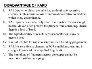 DISADVANTAGE OF RAPD
I. RAPD polymorphism are inherited as dominant- recessive
characters. This causes a loss of information relative to markers
which show codominance.
II. RAPD primers are relatively short, a mismatch of even a single
nucleotide can often prevent the primers from annealing. Hence
there is a loss of band.
III. The reproducibility of results across laboratories is low or
inconsistent.
IV. It is not feasible for use in marker assisted breeding programme.
V. RAPD is sensitive to changes in PCR conditions, resulting in
changes to some of the amplified fragments.
VI. The homology of fragments across genotypes cannot be
ascertained without mapping.
 
