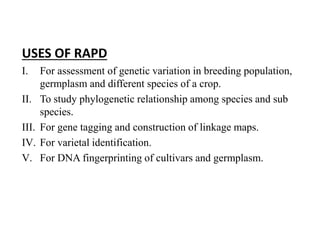 USES OF RAPD
I. For assessment of genetic variation in breeding population,
germplasm and different species of a crop.
II. To study phylogenetic relationship among species and sub
species.
III. For gene tagging and construction of linkage maps.
IV. For varietal identification.
V. For DNA fingerprinting of cultivars and germplasm.
 
