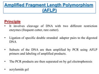 Amplified Fragment Length Polymorphism
(AFLP)
Principle
• It involves cleavage of DNA with two different restriction
enzymes (frequent cutter, rare cutter).
• Ligation of specific double stranded adapter pairs to the digested
DNA
• Subsets of the DNA are then amplified by PCR using AFLP
primers and labeling of amplified products.
• The PCR products are then separated on by gel electrophoresis
• acrylamide gel
 