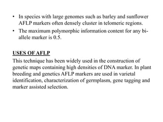 • In species with large genomes such as barley and sunflower
AFLP markers often densely cluster in telomeric regions.
• The maximum polymorphic information content for any bi-
allele marker is 0.5.
USES OF AFLP
This technique has been widely used in the construction of
genetic maps containing high densities of DNA marker. In plant
breeding and genetics AFLP markers are used in varietal
identification, characterization of germplasm, gene tagging and
marker assisted selection.
 