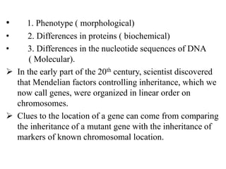 • 1. Phenotype ( morphological)
• 2. Differences in proteins ( biochemical)
• 3. Differences in the nucleotide sequences of DNA
( Molecular).
 In the early part of the 20th century, scientist discovered
that Mendelian factors controlling inheritance, which we
now call genes, were organized in linear order on
chromosomes.
 Clues to the location of a gene can come from comparing
the inheritance of a mutant gene with the inheritance of
markers of known chromosomal location.
 