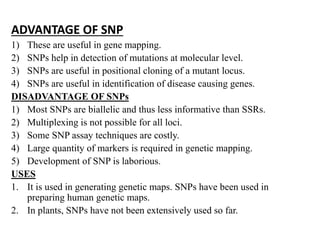 ADVANTAGE OF SNP
1) These are useful in gene mapping.
2) SNPs help in detection of mutations at molecular level.
3) SNPs are useful in positional cloning of a mutant locus.
4) SNPs are useful in identification of disease causing genes.
DISADVANTAGE OF SNPs
1) Most SNPs are biallelic and thus less informative than SSRs.
2) Multiplexing is not possible for all loci.
3) Some SNP assay techniques are costly.
4) Large quantity of markers is required in genetic mapping.
5) Development of SNP is laborious.
USES
1. It is used in generating genetic maps. SNPs have been used in
preparing human genetic maps.
2. In plants, SNPs have not been extensively used so far.
 