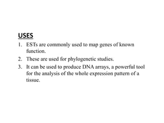 USES
1. ESTs are commonly used to map genes of known
function.
2. These are used for phylogenetic studies.
3. It can be used to produce DNA arrays, a powerful tool
for the analysis of the whole expression pattern of a
tissue.
 