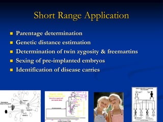 Short Range Application
 Parentage determination
 Genetic distance estimation
 Determination of twin zygosity & freemartins
 Sexing of pre-implanted embryos
 Identification of disease carries
 