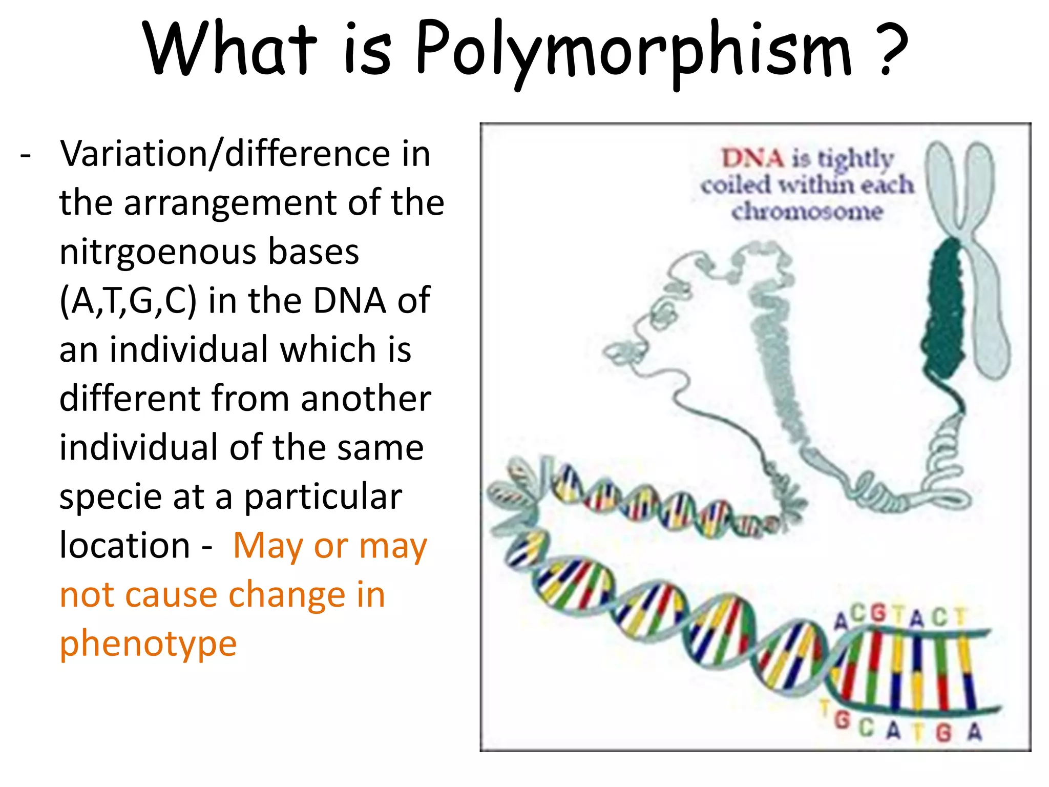 What is Polymorphism ?
- Variation/difference in
the arrangement of the
nitrgoenous bases
(A,T,G,C) in the DNA of
an individual which is
different from another
individual of the same
specie at a particular
location - May or may
not cause change in
phenotype
 