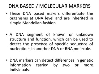 DNA BASED / MOLECULAR MARKERS
• These DNA based makers differentiate the
organisms at DNA level and are inherited in
simple Mendelian fashion.
• A DNA segment of known or unknown
structure and function, which can be used to
detect the presence of specific sequence of
nucleotides in another DNA or RNA molecule.
• DNA markers can detect differences in genetic
information carried by two or more
individuals.
 