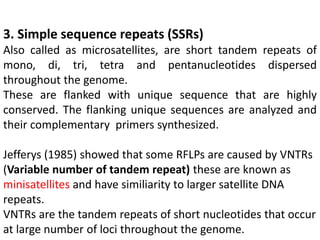 3. Simple sequence repeats (SSRs)
Also called as microsatellites, are short tandem repeats of
mono, di, tri, tetra and pentanucleotides dispersed
throughout the genome.
These are flanked with unique sequence that are highly
conserved. The flanking unique sequences are analyzed and
their complementary primers synthesized.
Jefferys (1985) showed that some RFLPs are caused by VNTRs
(Variable number of tandem repeat) these are known as
minisatellites and have similiarity to larger satellite DNA
repeats.
VNTRs are the tandem repeats of short nucleotides that occur
at large number of loci throughout the genome.
 