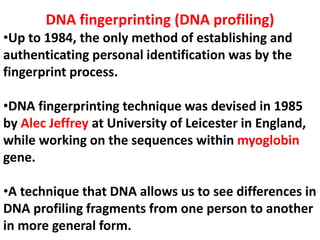 DNA fingerprinting (DNA profiling)
•Up to 1984, the only method of establishing and
authenticating personal identification was by the
fingerprint process.
•DNA fingerprinting technique was devised in 1985
by Alec Jeffrey at University of Leicester in England,
while working on the sequences within myoglobin
gene.
•A technique that DNA allows us to see differences in
DNA profiling fragments from one person to another
in more general form.
 