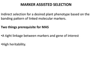 MARKER ASSISTED SELECTION
Indirect selection for a desired plant phenotype based on the
banding pattern of linked molecular markers.
Two things prerequisite for MAS
•A tight linkage between markers and gene of interest
•High heritability.
 