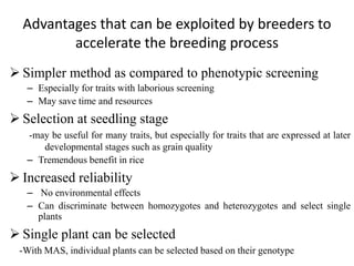 Advantages that can be exploited by breeders to
accelerate the breeding process
 Simpler method as compared to phenotypic screening
– Especially for traits with laborious screening
– May save time and resources
 Selection at seedling stage
-may be useful for many traits, but especially for traits that are expressed at later
developmental stages such as grain quality
– Tremendous benefit in rice
 Increased reliability
– No environmental effects
– Can discriminate between homozygotes and heterozygotes and select single
plants
 Single plant can be selected
-With MAS, individual plants can be selected based on their genotype
 