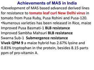 Achievements of MAS in India
•Development of MAS based advanced derived lines
for resistance to tomato leaf curl New Delhi virus in
tomato from Pusa Ruby, Pusa Rohini and Pusa-120.
•Numerous varieties has been released in Rice, maize
Improved Pusa Basmati-1 BLB resistance
Improved Sambha Mahsuri BLB resistance
Swarna Sub-1 Submergence resistance
Vivek QPM 9 a maize hybrid has 2.67% lysine and
0.83% tryptophan in the protein, besides 8.15 parts
ppm of pro-vitamin A.
 