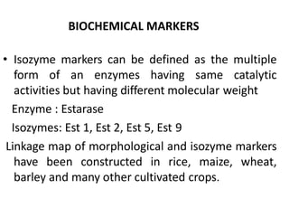 BIOCHEMICAL MARKERS
• Isozyme markers can be defined as the multiple
form of an enzymes having same catalytic
activities but having different molecular weight
Enzyme : Estarase
Isozymes: Est 1, Est 2, Est 5, Est 9
Linkage map of morphological and isozyme markers
have been constructed in rice, maize, wheat,
barley and many other cultivated crops.
 