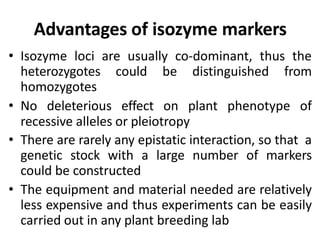 Advantages of isozyme markers
• Isozyme loci are usually co-dominant, thus the
heterozygotes could be distinguished from
homozygotes
• No deleterious effect on plant phenotype of
recessive alleles or pleiotropy
• There are rarely any epistatic interaction, so that a
genetic stock with a large number of markers
could be constructed
• The equipment and material needed are relatively
less expensive and thus experiments can be easily
carried out in any plant breeding lab
 
