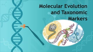 Molecular Evolution
and Taxonomic
Markers
 