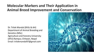 Molecular Markers and Their Application in
Animal Breed Improvement and Conservation
Dr. Trilok Mandal (BVSc & AH)
Department of Animal Breeding and
Genetics (MSc)
Agriculture and Forestry University
(AFU) Rampur, Chitwan, Nepal
Email: trilokmandal97@gmail.com
 