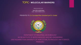 TOPIC- MOLECULAR MARKERS
PRESENTED BY:
TAHURA MARIYAM
MSc. MICROBIOLOGY
PRENENTED TO: Dr. Gurudayal Ram (Assistant prof. Sr. Grade)
DEPARTMENT OF INDUSTRIAL MICROBIOLOGY
JACOB INSTITUTE OF BIOTECHNOLOGY AND BIO-ENGINEERING
SAM HIGGINBOTTOM UNIVERSITY OF AGRICULTURE,TECHNOLOGY, AND SCIENCES,
PRAYAGRAJ
 