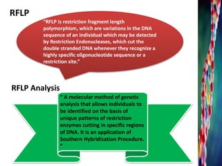 “RFLP is restriction fragment length
polymorphism, which are variations in the DNA
sequence of an individual which may be detected
by Restriction Endonucleases, which cut the
double stranded DNA whenever they recognize a
highly specific oligonucleotide sequence or a
restriction site.”
RFLP
“ A molecular method of genetic
analysis that allows individuals to
be identified on the basis of
unique patterns of restriction
enzymes cutting in specific regions
of DNA. It is an application of
Southern Hybridization Procedure.
”
RFLP Analysis
 