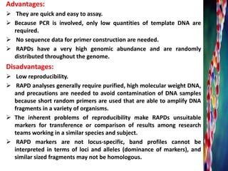 Advantages:
 They are quick and easy to assay.
 Because PCR is involved, only low quantities of template DNA are
required.
 No sequence data for primer construction are needed.
 RAPDs have a very high genomic abundance and are randomly
distributed throughout the genome.
Disadvantages:
 Low reproducibility.
 RAPD analyses generally require purified, high molecular weight DNA,
and precautions are needed to avoid contamination of DNA samples
because short random primers are used that are able to amplify DNA
fragments in a variety of organisms.
 The inherent problems of reproducibility make RAPDs unsuitable
markers for transference or comparison of results among research
teams working in a similar species and subject.
 RAPD markers are not locus-specific, band profiles cannot be
interpreted in terms of loci and alleles (dominance of markers), and
similar sized fragments may not be homologous.
 