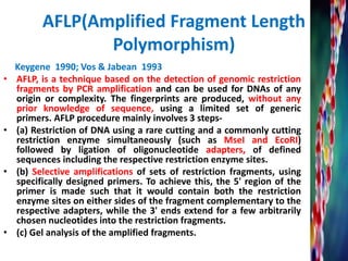 AFLP(Amplified Fragment Length
Polymorphism)
Keygene 1990; Vos & Jabean 1993
• AFLP, is a technique based on the detection of genomic restriction
fragments by PCR amplification and can be used for DNAs of any
origin or complexity. The fingerprints are produced, without any
prior knowledge of sequence, using a limited set of generic
primers. AFLP procedure mainly involves 3 steps-
• (a) Restriction of DNA using a rare cutting and a commonly cutting
restriction enzyme simultaneously (such as MseI and EcoRI)
followed by ligation of oligonucleotide adapters, of defined
sequences including the respective restriction enzyme sites.
• (b) Selective amplifications of sets of restriction fragments, using
specifically designed primers. To achieve this, the 5' region of the
primer is made such that it would contain both the restriction
enzyme sites on either sides of the fragment complementary to the
respective adapters, while the 3' ends extend for a few arbitrarily
chosen nucleotides into the restriction fragments.
• (c) Gel analysis of the amplified fragments.
 