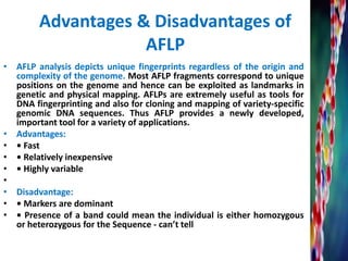 Advantages & Disadvantages of
AFLP
• AFLP analysis depicts unique fingerprints regardless of the origin and
complexity of the genome. Most AFLP fragments correspond to unique
positions on the genome and hence can be exploited as landmarks in
genetic and physical mapping. AFLPs are extremely useful as tools for
DNA fingerprinting and also for cloning and mapping of variety-specific
genomic DNA sequences. Thus AFLP provides a newly developed,
important tool for a variety of applications.
• Advantages:
• • Fast
• • Relatively inexpensive
• • Highly variable
•
• Disadvantage:
• • Markers are dominant
• • Presence of a band could mean the individual is either homozygous
or heterozygous for the Sequence - can’t tell
 
