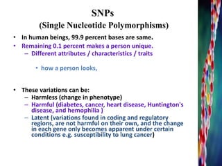 • In human beings, 99.9 percent bases are same.
• Remaining 0.1 percent makes a person unique.
– Different attributes / characteristics / traits
• how a person looks,
• These variations can be:
– Harmless (change in phenotype)
– Harmful (diabetes, cancer, heart disease, Huntington's
disease, and hemophilia )
– Latent (variations found in coding and regulatory
regions, are not harmful on their own, and the change
in each gene only becomes apparent under certain
conditions e.g. susceptibility to lung cancer)
SNPs
(Single Nucleotide Polymorphisms)
 