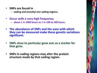 • SNPs are found in
– coding and (mostly) non coding regions.
• Occur with a very high frequency
– about 1 in 1000 bases to 1 in 100 to 300 bases.
• The abundance of SNPs and the ease with which
they can be measured make these genetic variations
significant.
• SNPs close to particular gene acts as a marker for
that gene.
• SNPs in coding regions may alter the protein
structure made by that coding region.
 