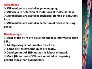 Advantages-
SNP markers are useful in gene mapping.
SNPs help in detection of mutations at molecular level.
SNP markers are useful in positional cloning of a mutant
locus.
SNP markers are useful in detection of disease causing
genes.
Disadvantages:
Most of the SNPs are bialleleic and less informative than
SSRs.
 Multiplexing is not possible for all loci.
 Some SNP assay techniques are costly.
Development of SNP markers is labour oriented.
More (three times) SNPs are required in preparing
genetic maps than SSR markers.
 