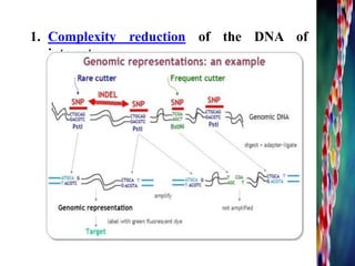 1. Complexity reduction of the DNA of
interest
 