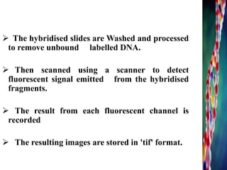 5. scanning
 The hybridised slides are Washed and processed
to remove unbound labelled DNA.
 Then scanned using a scanner to detect
fluorescent signal emitted from the hybridised
fragments.
 The result from each fluorescent channel is
recorded
 The resulting images are stored in 'tif' format.
16
 