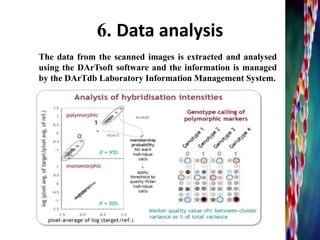 6. Data analysis
The data from the scanned images is extracted and analysed
using the DArTsoft software and the information is managed
by the DArTdb Laboratory Information Management System.
17
 