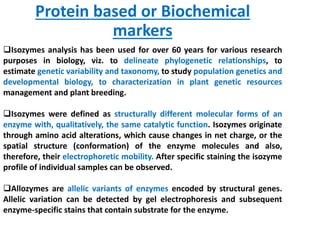 Protein based or Biochemical
markers
Isozymes analysis has been used for over 60 years for various research
purposes in biology, viz. to delineate phylogenetic relationships, to
estimate genetic variability and taxonomy, to study population genetics and
developmental biology, to characterization in plant genetic resources
management and plant breeding.
Isozymes were defined as structurally different molecular forms of an
enzyme with, qualitatively, the same catalytic function. Isozymes originate
through amino acid alterations, which cause changes in net charge, or the
spatial structure (conformation) of the enzyme molecules and also,
therefore, their electrophoretic mobility. After specific staining the isozyme
profile of individual samples can be observed.
Allozymes are allelic variants of enzymes encoded by structural genes.
Allelic variation can be detected by gel electrophoresis and subsequent
enzyme-specific stains that contain substrate for the enzyme.
 