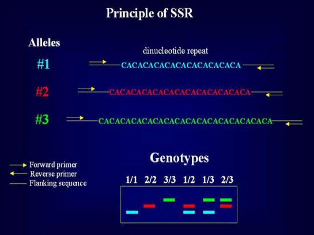 Molecular markers