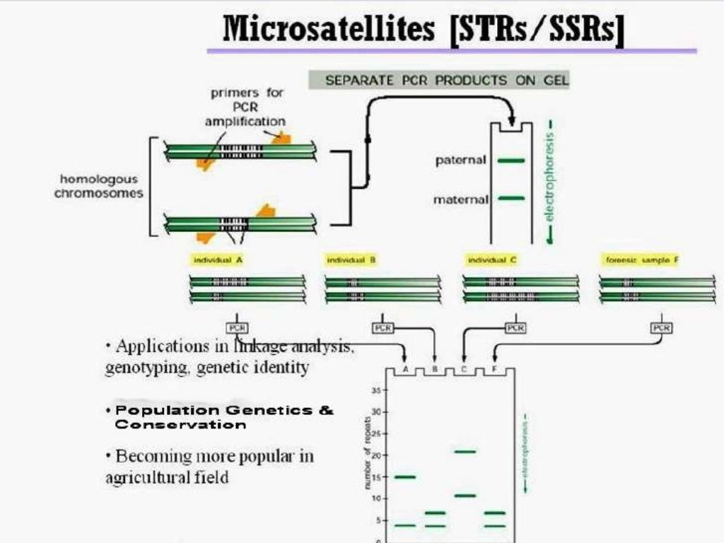 Molecular markers