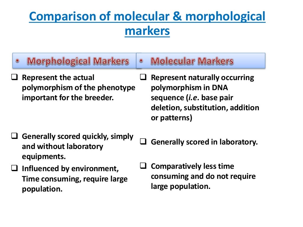 Molecular markers