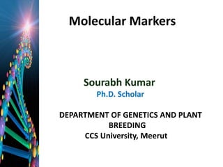 Molecular Markers
•
•
•
•
•
•
•
•
•
Prese
Sourabh Kumar
Ph.D. Scholar
•
• DEPARTMENT OF GENETICS AND PLANT
• BREEDING
• CCS University, Meerut
•
•
•
 