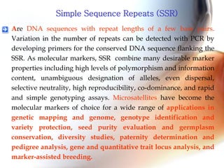 Are DNA sequences with repeat lengths of a few base pairs.
Variation in the number of repeats can be detected with PCR by
developing primers for the conserved DNA sequence flanking the
SSR. As molecular markers, SSR combine many desirable marker
properties including high levels of polymorphism and information
content, unambiguous designation of alleles, even dispersal,
selective neutrality, high reproducibility, co-dominance, and rapid
and simple genotyping assays. Microsatellites have become the
molecular markers of choice for a wide range of applications in
genetic mapping and genome, genotype identification and
variety protection, seed purity evaluation and germplasm
conservation, diversity studies, paternity determination and
pedigree analysis, gene and quantitative trait locus analysis, and
marker-assisted breeding.
Simple Sequence Repeats (SSR)
 