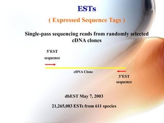 ESTs
( Expressed Sequence Tags )
Single-pass sequencing reads from randomly selected
cDNA clones
3’EST
sequence
5’EST
sequence
cDNA Clone
dbEST May 7, 2003
21,265,083 ESTs from 611 species
 