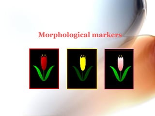 Morphological markers
 