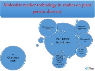 Molecular marker technology in studies on plant
genetic diversity
PCR based
techniques
PCR with arbitrary
primers
PCR with
Amplified
fragment
length
polymorphis
ms
Sequence-
tagged sites
Microsatellit
es,
SCARs,
CAPS,
ISSRsBy
Chanakya
Pachi
 