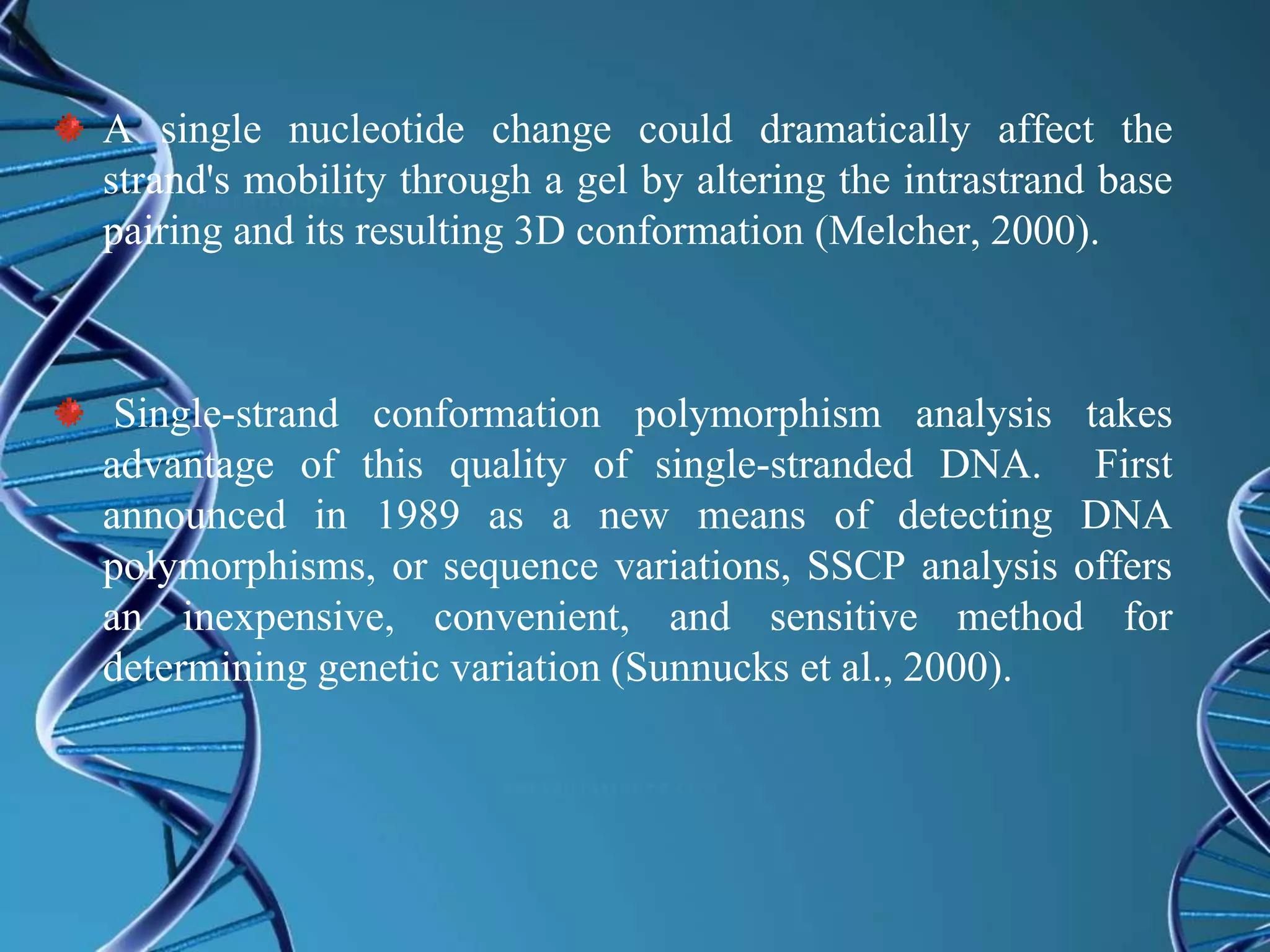 A single nucleotide change could dramatically affect the
strand's mobility through a gel by altering the intrastrand base
pairing and its resulting 3D conformation (Melcher, 2000).
Single-strand conformation polymorphism analysis takes
advantage of this quality of single-stranded DNA. First
announced in 1989 as a new means of detecting DNA
polymorphisms, or sequence variations, SSCP analysis offers
an inexpensive, convenient, and sensitive method for
determining genetic variation (Sunnucks et al., 2000).
 