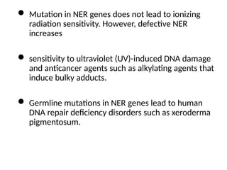 M MOLECULAR MECHANISM OF DNA AND CHROMOSOMES DAMAGE AND REPAIR | PPTX