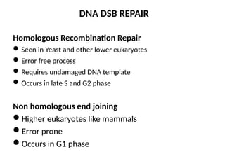 M MOLECULAR MECHANISM OF DNA AND CHROMOSOMES DAMAGE AND REPAIR | PPTX