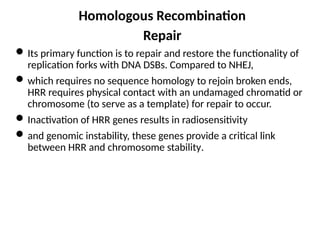 M MOLECULAR MECHANISM OF DNA AND CHROMOSOMES DAMAGE AND REPAIR | PPTX