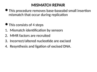 M MOLECULAR MECHANISM OF DNA AND CHROMOSOMES DAMAGE AND REPAIR | PPTX
