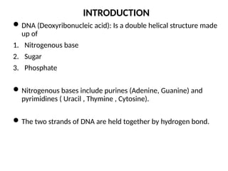 M MOLECULAR MECHANISM OF DNA AND CHROMOSOMES DAMAGE AND REPAIR | PPTX
