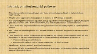 Molecular mechanism involved in cisplatin induced nephrotoxicity | PPTX