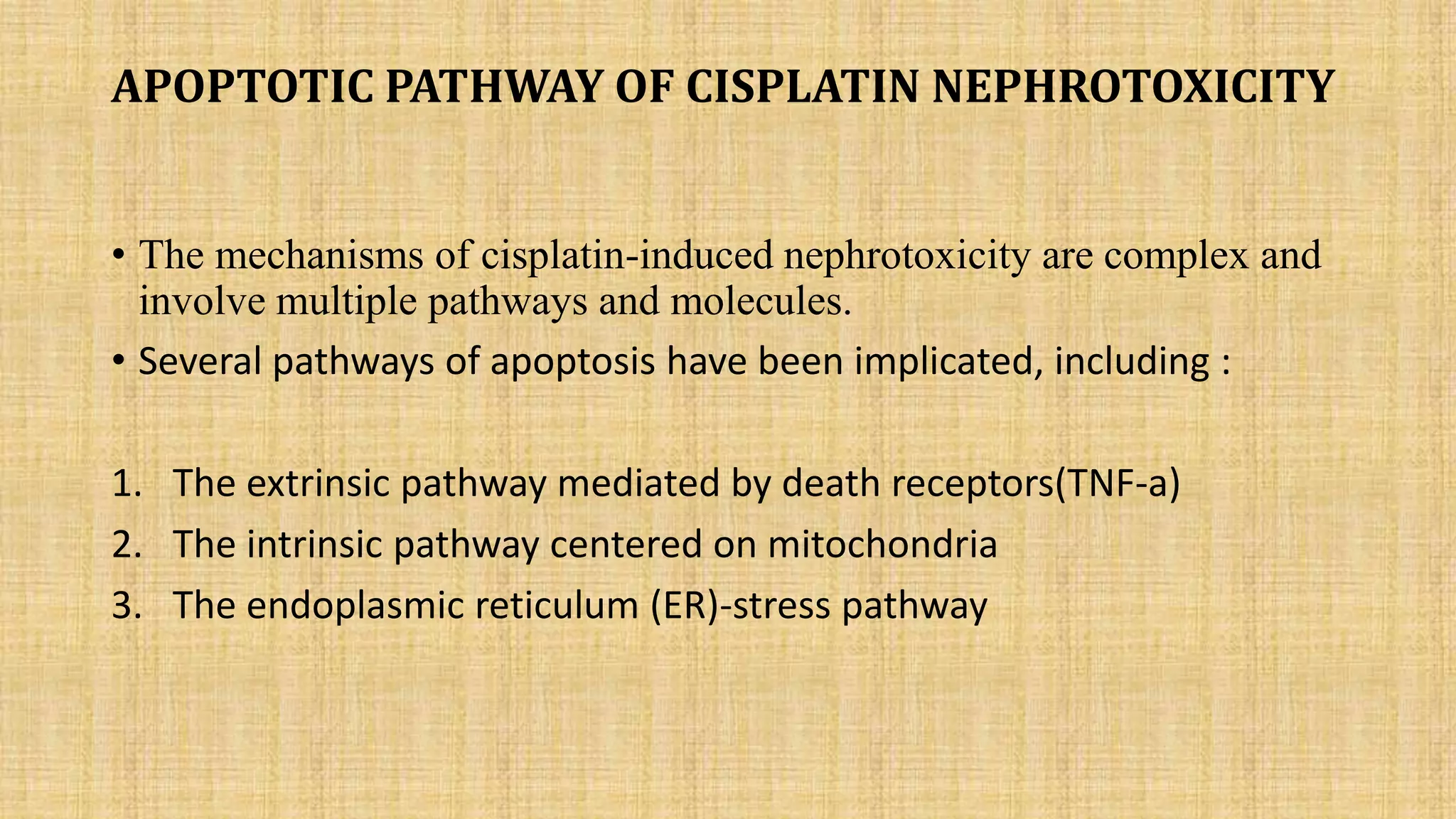 Molecular mechanism involved in cisplatin induced nephrotoxicity | PPTX ...